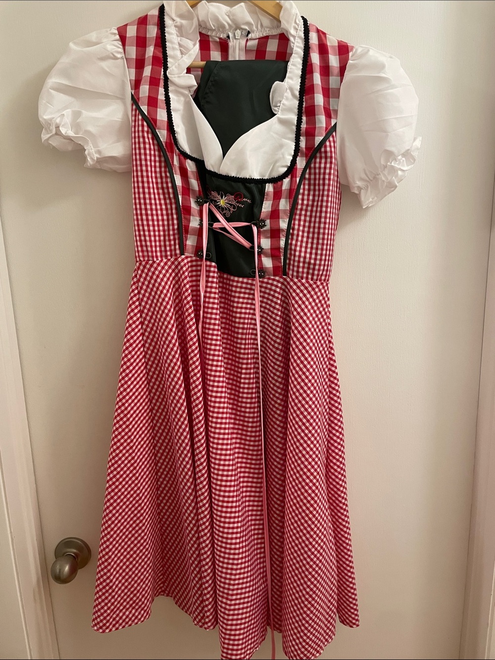Red Gingham Dirndl Dress with White Blouse